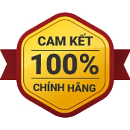 icon chinh hang